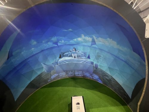ペーパードーム内に投影されたパノラマ動画（写真：家入龍太）