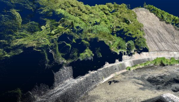 ドローン計測のみの点群データ。樹木に隠れた道路部の点群が欠損している