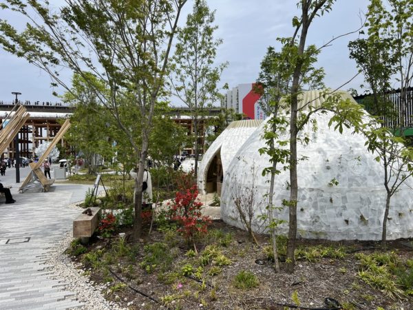 イエイリが提供した「森になる建築」の写真